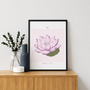 Water lily