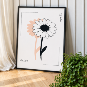 daisy