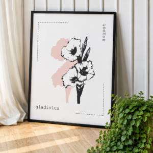 gladiolus