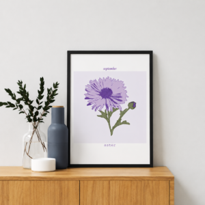 aster