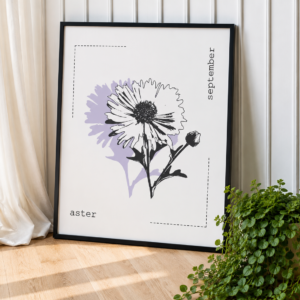 aster