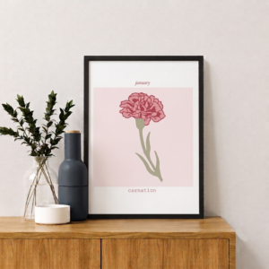 carnation