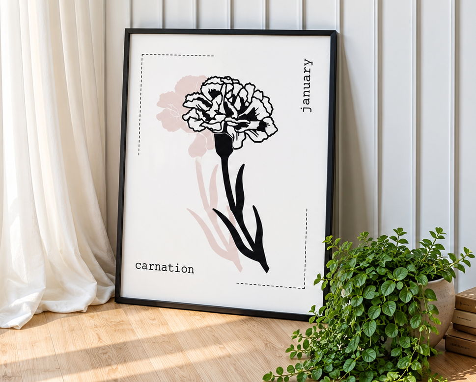 carnation carnation