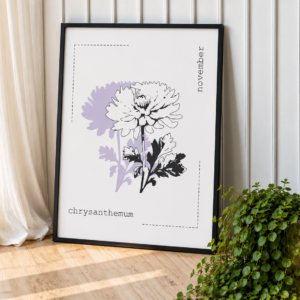 chrysanthemum